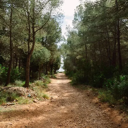 Ribamar 4* Alcossebre